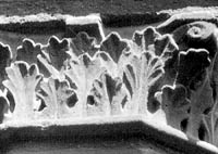 files/capitals/S-DEN-FR/thumbs/S-DEN-FR 0640.jpg